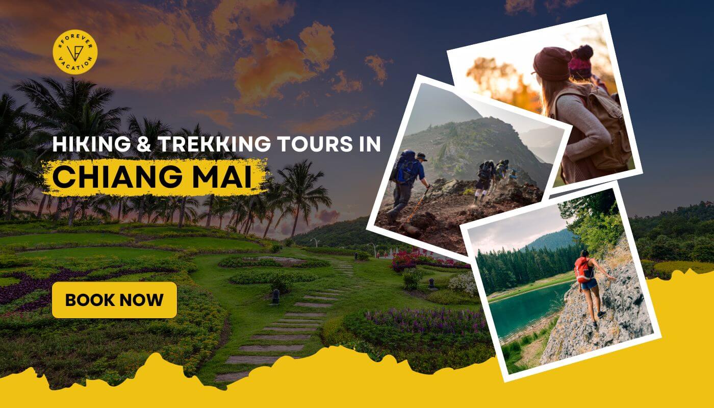 Chiang Mai Hiking and Trekking Tours