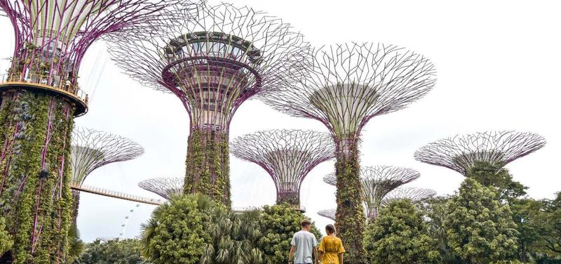 Singapore Walking Instagram Tour       