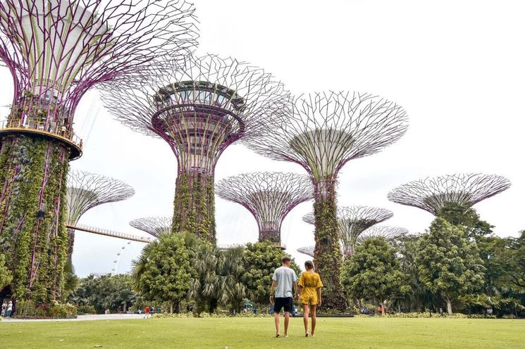 Singapore Walking Instagram Tour       