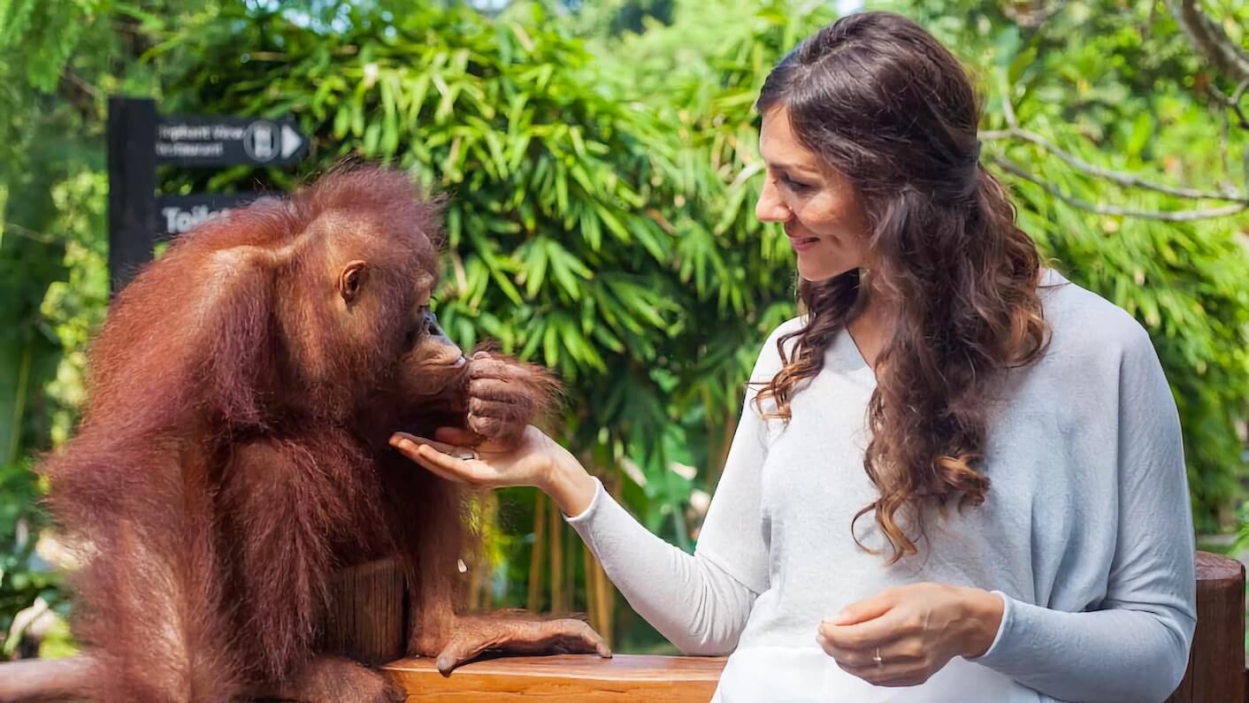 Bali Breakfast with Orangutans & ATV Adventure 