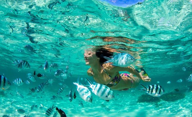 Phuket Coral Island Tropical Snorkeling Adventure          