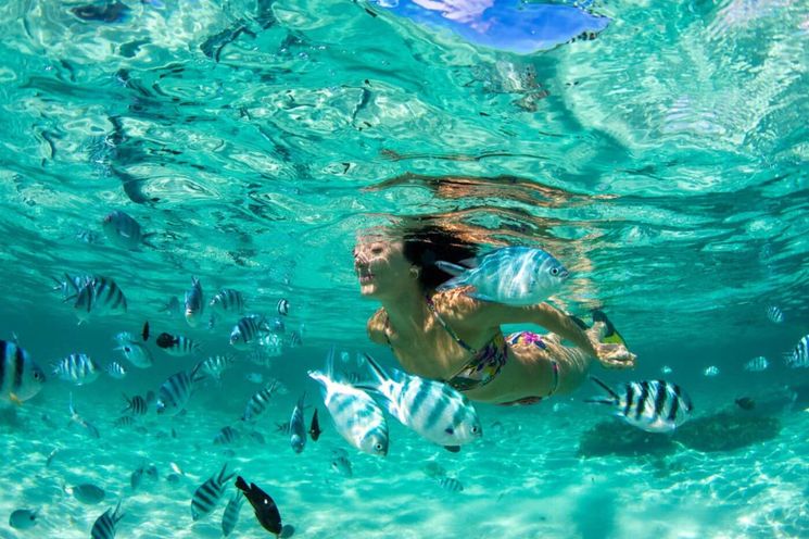 Phuket Coral Island Tropical Snorkeling Adventure          