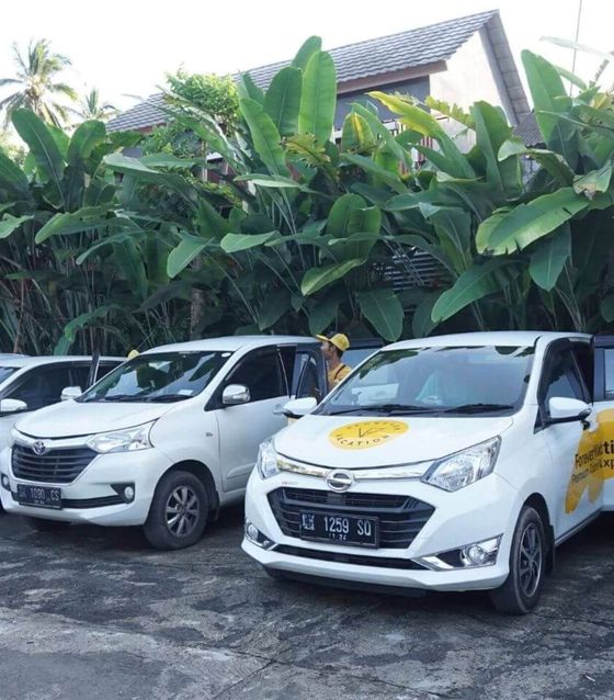 Da Nang Private Airport Pick Up Service