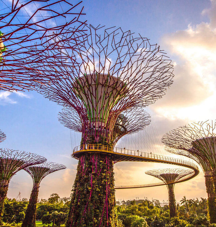 Gardens by the Bay
