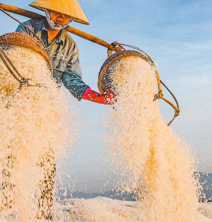Hon Khoi Salt Fields
