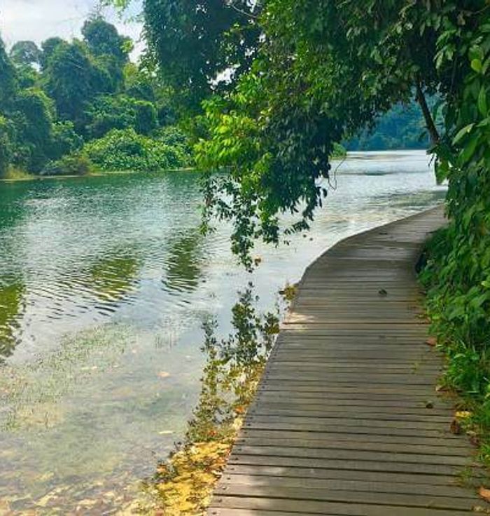 MacRitchie Reservoir