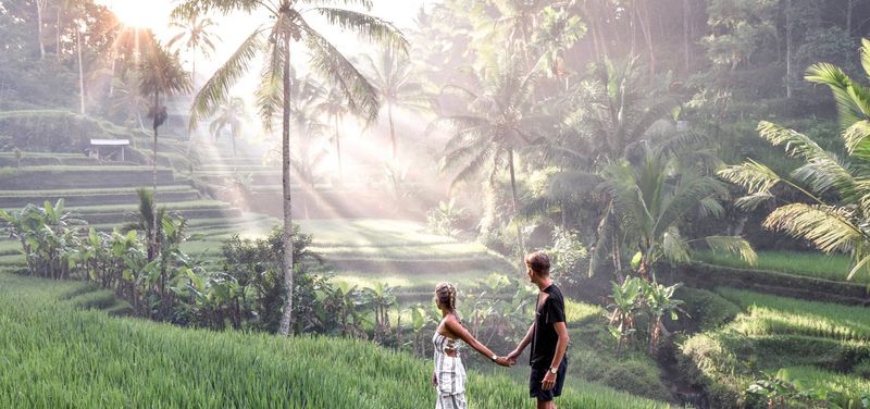 Magical Ubud Rice Terrace Tour          