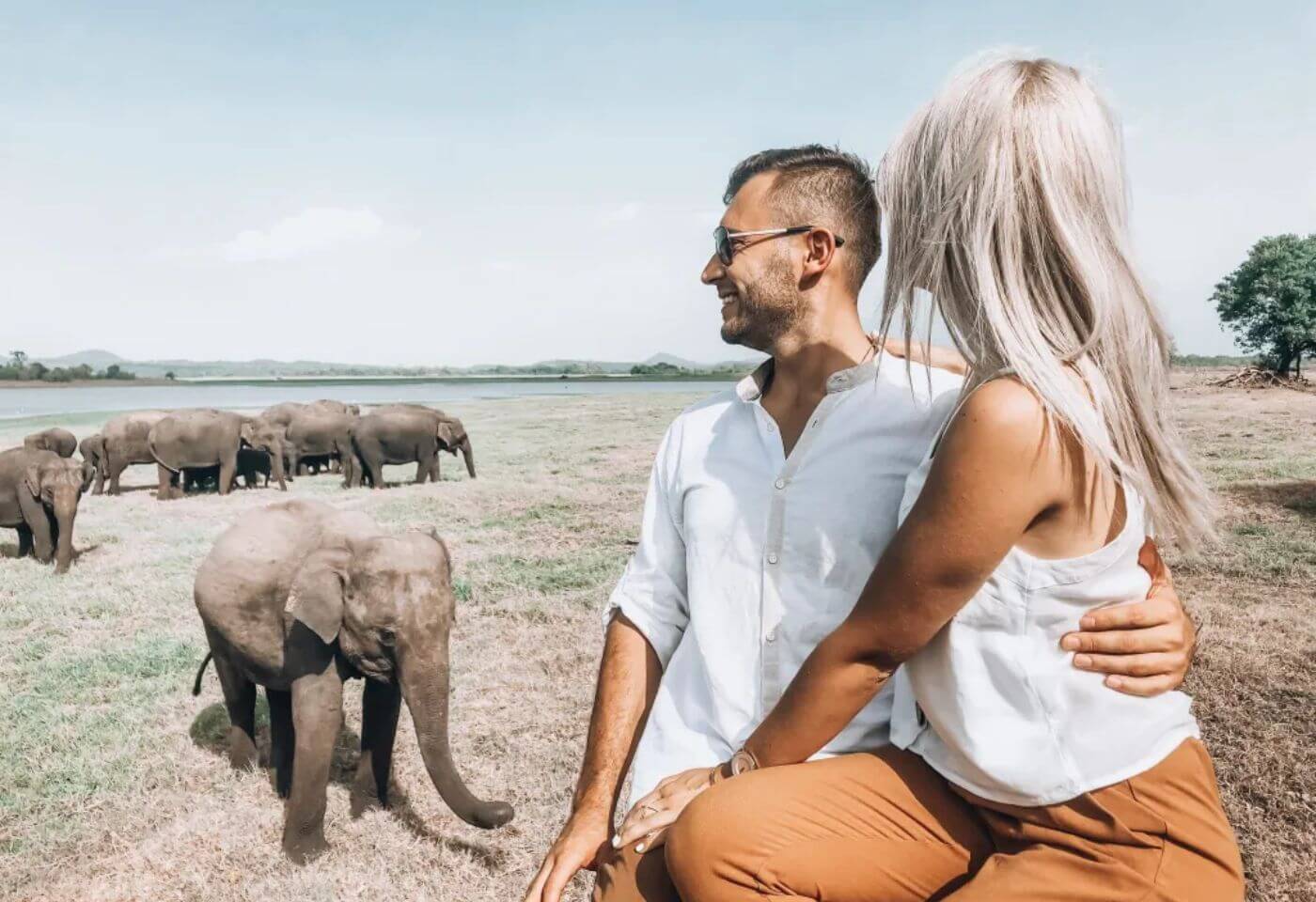 Majestic Mammals Of Sri Lanka: Whale & Elephant Safari Tour