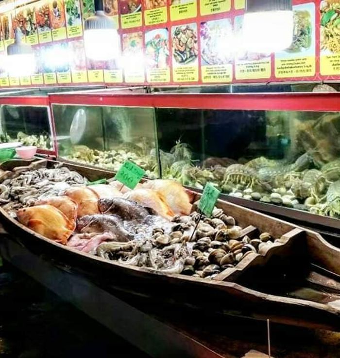 Maria food halal samui