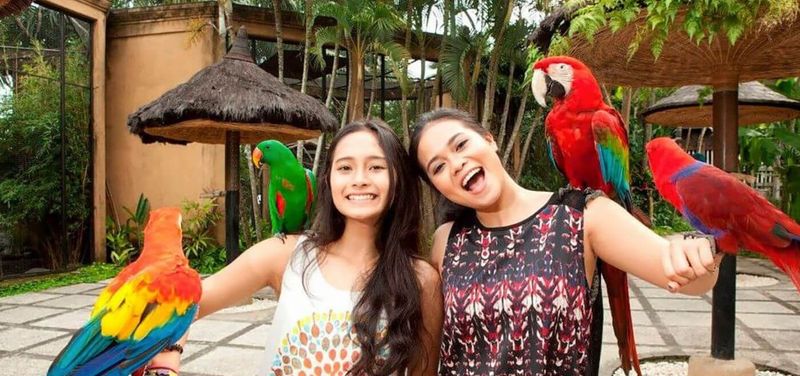 Bali Bird Park & Monkey Forest Tour   