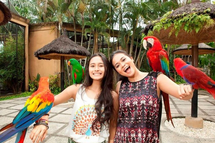 Bali Bird Park & Monkey Forest Tour   