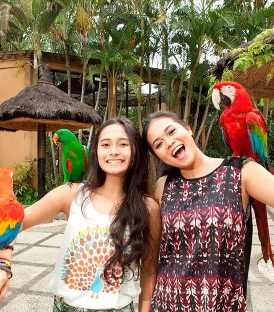 Bali Bird Park & Monkey Forest Tour   