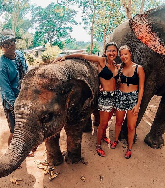 Phuket Elephant Sanctuary