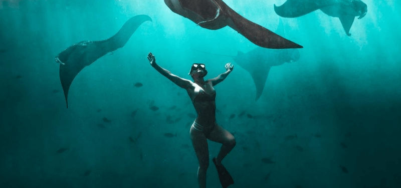 Snorkeling in Nusa Penida Tour            