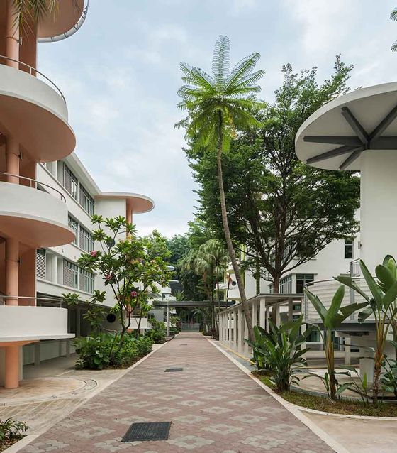 Singapore Old New Tiong Bahru Estate Walking Tour