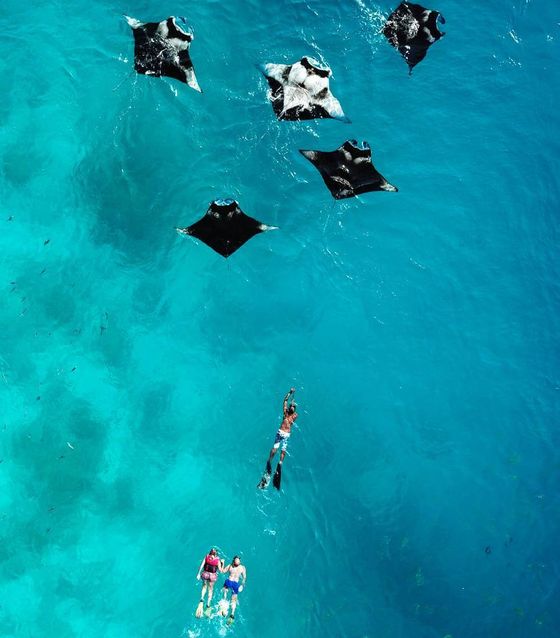 Swimming with Manta Rays, Nusa Penida