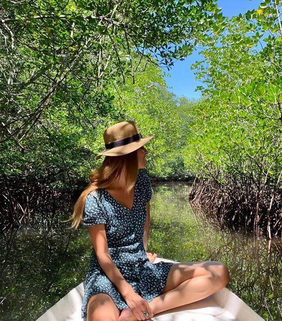 Mangrove Forest