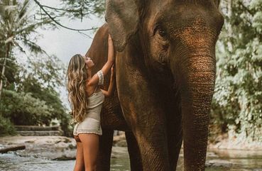 elephant bath in Bali