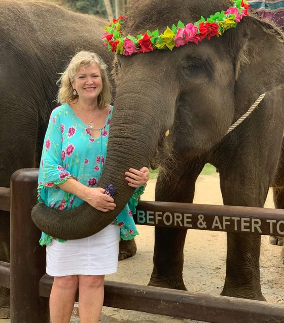 Elephants in Bali