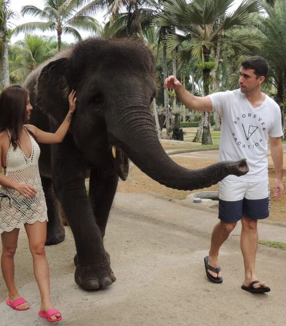 Walking with elephants in Bali